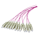 OM4 fiberoptisk pigtail lila ST - 12 stycken